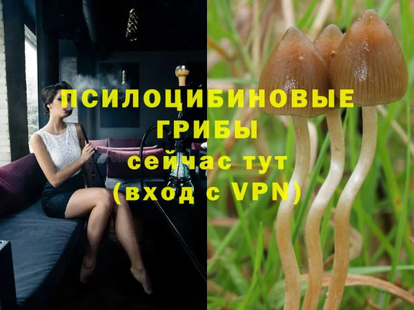 ГАЛЛЮЦИНОГЕННЫЕ ГРИБЫ Надым
