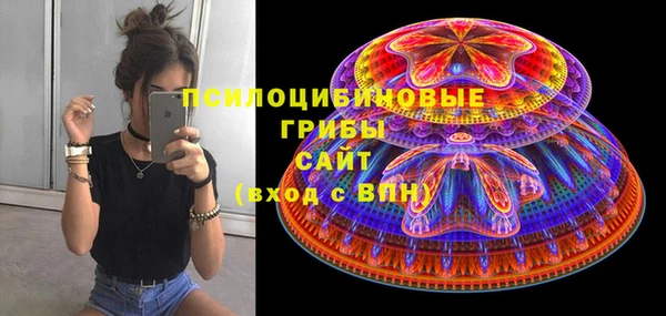 ГАЛЛЮЦИНОГЕННЫЕ ГРИБЫ Надым