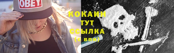 ГАЛЛЮЦИНОГЕННЫЕ ГРИБЫ Надым