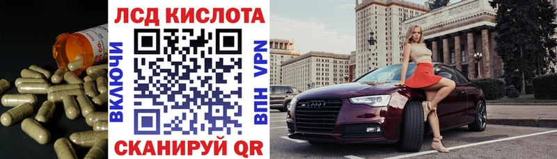 где купить наркоту  Терек  мориарти официальный сайт  Лсд 25 экстази кислота 
