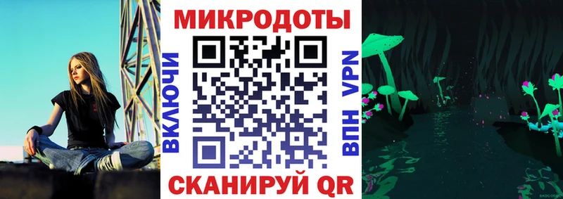 kraken вход  Терек  Псилоцибиновые грибы Magic Shrooms 
